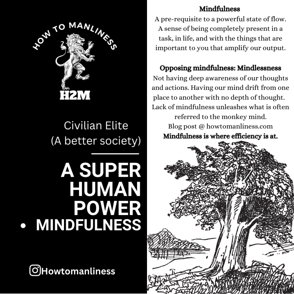 Mindfulness is where efficiency is at. Explained…