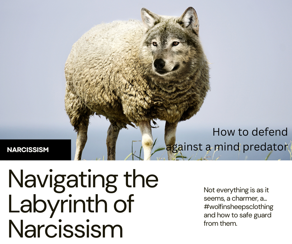 Navigating the Labyrinth of Narcissism: Building Boundaries for Emotional Resilience